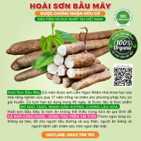 Củ Hoài Sơn Bầu Mây